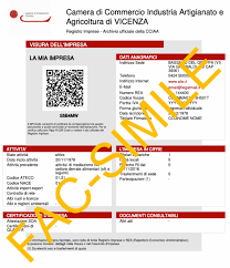 Visura Camerale Storica